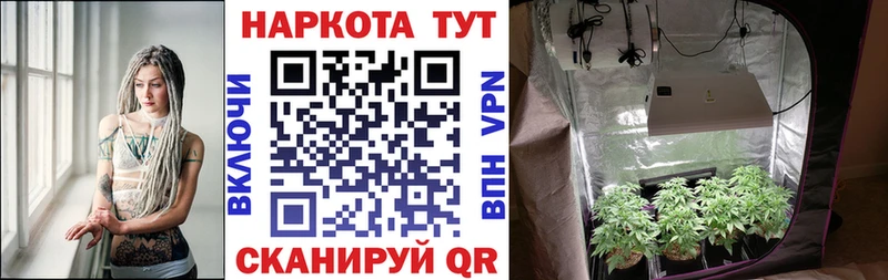 Все наркотики Рубцовск АМФЕТАМИН A-PVP ГАШИШ Cocaine Псилоцибиновые грибы Конопля