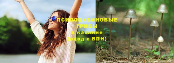 мяу мяу мука Бугульма