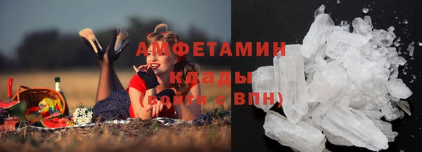 молекула духа Бородино