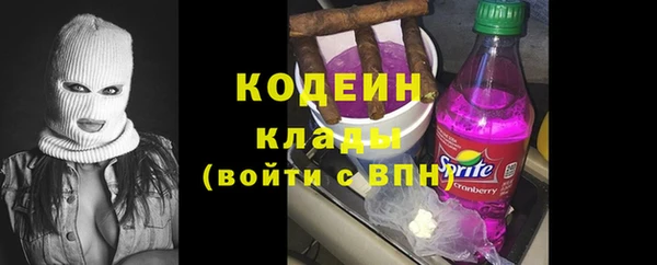 молекула духа Бородино