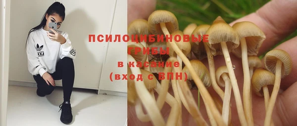 МДМА Верхний Тагил
