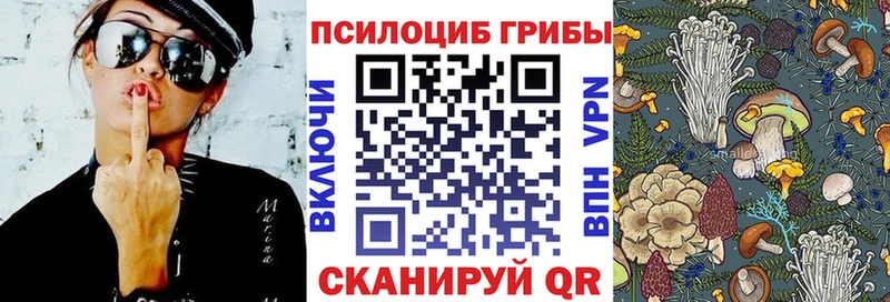 купить наркотики цена  Рубцовск  Псилоцибиновые грибы мицелий 